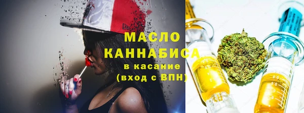 индика Осинники