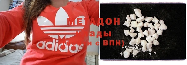 индика Осинники