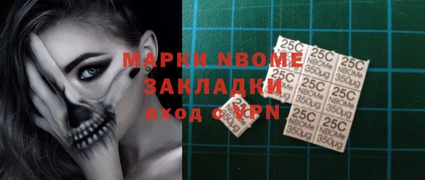 индика Осинники