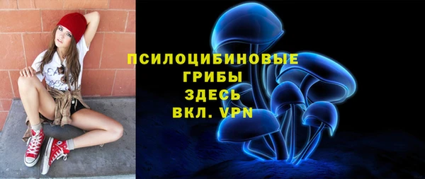 индика Осинники