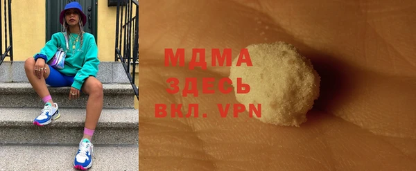 индика Осинники
