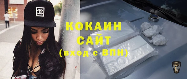 индика Осинники