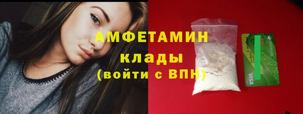 индика Осинники