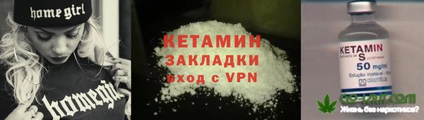 индика Осинники