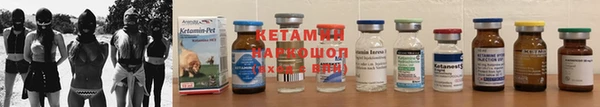 индика Осинники
