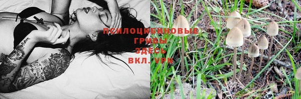 кристаллы Осташков