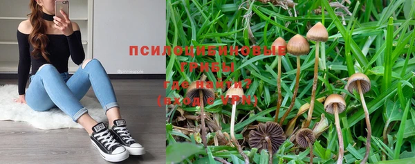 индика Осинники