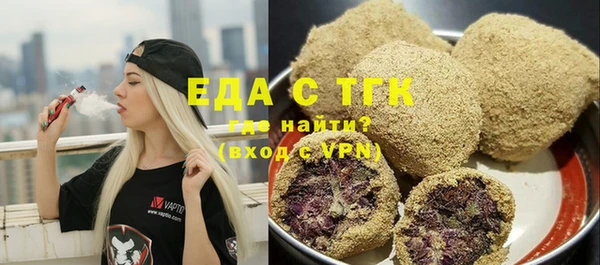 индика Осинники