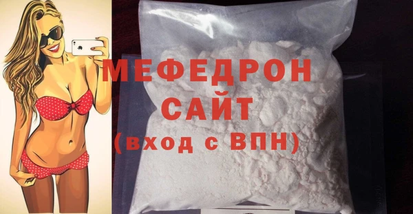 индика Осинники
