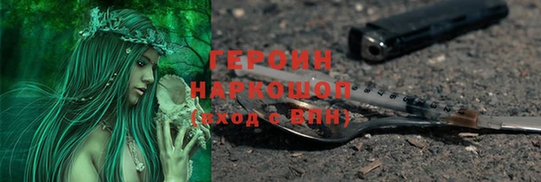 индика Осинники