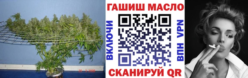 как найти   МЕГА как зайти  ТГК концентрат  Усть-Лабинск 