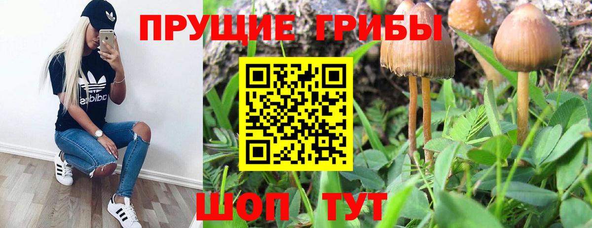 Псилоцибиновые грибы мухоморы Усть-Лабинск